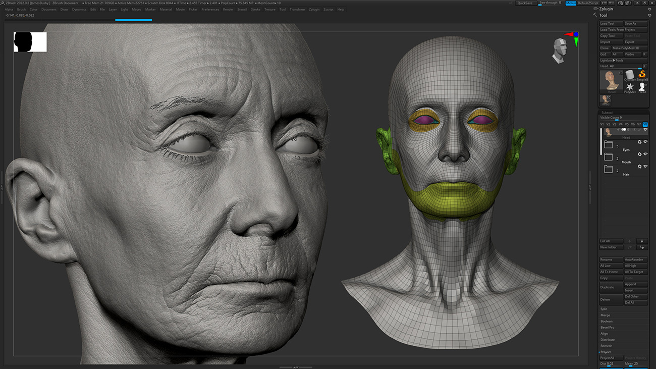 Download Zbrush head sculpt